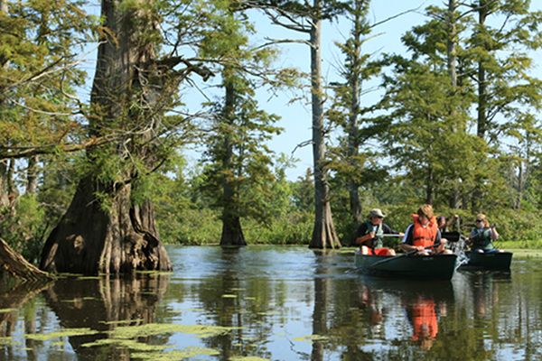 CACHE RIVER WETLANDS